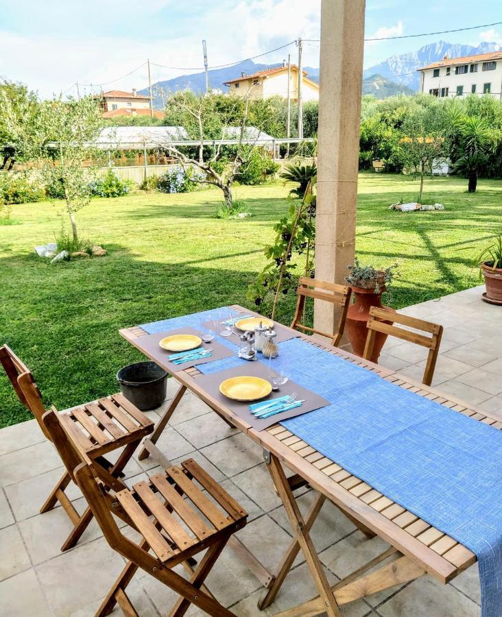 Agriturismo La Vite Maritata Пиетрасанта Екстериор снимка