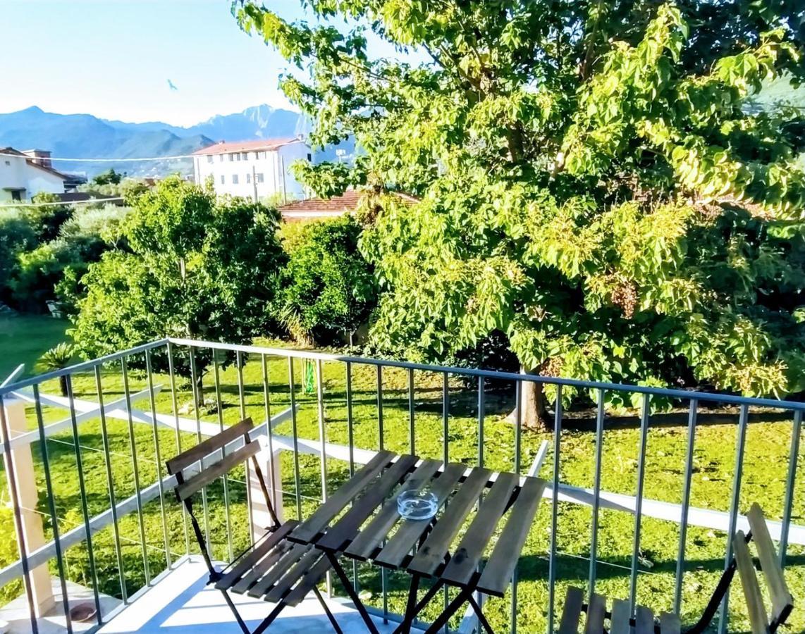 Agriturismo La Vite Maritata Пиетрасанта Екстериор снимка